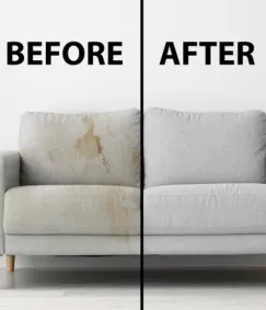 Sofa Cleaning Service